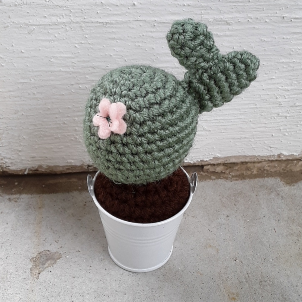 Set Handmade Crochet Cactus - Picture 2 of 4